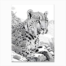 Snowleopard Canvas Print