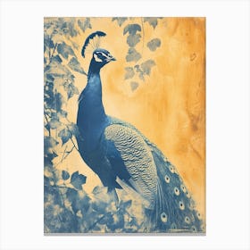 Orange & Blue Peacock In The Ivy 1 Canvas Print