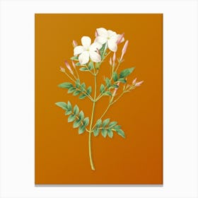 Vintage Spanish Jasmine Botanical on Sunset Orange n.0806 Canvas Print