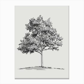 Ash Tree Minimalistic Drawing 1 Canvas Print