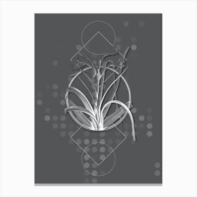 Vintage Malgas Lily Botanical with Line Motif and Dot Pattern in Ghost Gray n.0232 Canvas Print