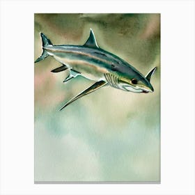 Bonnethead Shark Storybook Watercolour Canvas Print