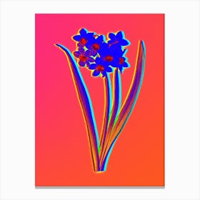 Neon Narcissus Easter Flower Botanical in Hot Pink and Electric Blue n.0482 Canvas Print