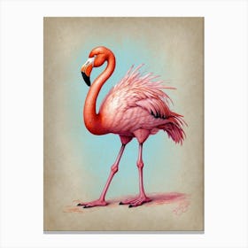 Flamingo 3 Canvas Print