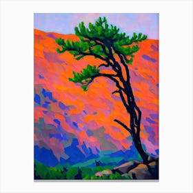 Rocky Mountain Juniper Tree Cubist 1 Canvas Print