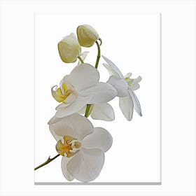 Orchid Art Canvas Print