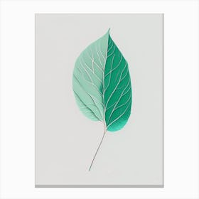 Mint Leaf Abstract 5 Canvas Print