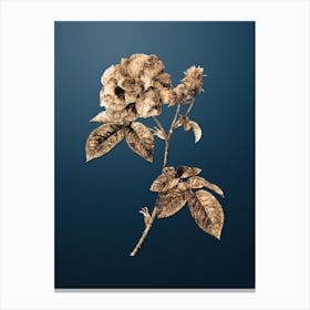 Gold Botanical Apothecary Rose on Dusk Blue n.0522 Canvas Print