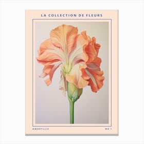 Amaryllis French Flower Botanical Poster Canvas Print