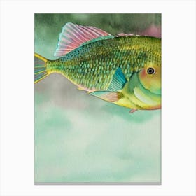 Parrotfish Storybook Watercolour Canvas Print