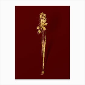 Vintage Turquoise Ixia Botanical in Gold on Red n.0125 Canvas Print