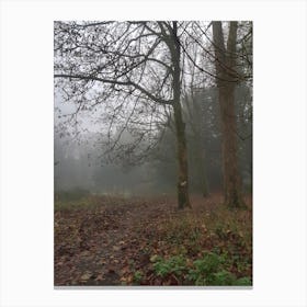 Misty day on the woods Canvas Print