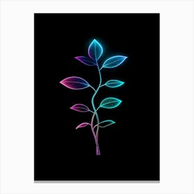 Neon Plant On Black Background 3 Canvas Print