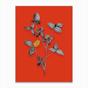 Vintage Pink Clover Black and White Gold Leaf Floral Art on Tomato Red Canvas Print