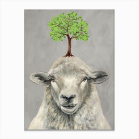 Sheep With Tree Canvas Print
