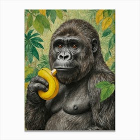 Gorilla Eating Banana Canvas Print