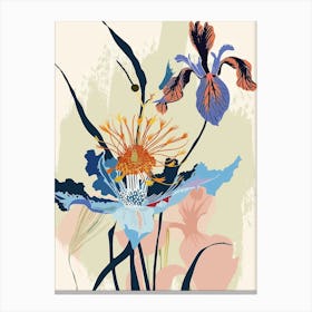 Colourful Flower Illustration Love In A Mist Nigella 2 Canvas Print