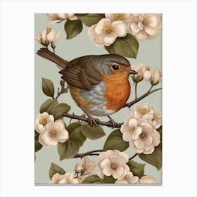 Robin 19 Canvas Print