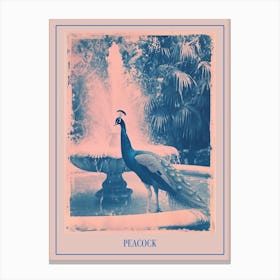 Pink & Blue Peacock In The Fountain Poster Canvas Print