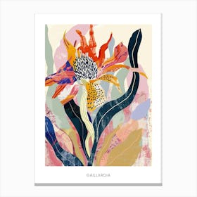 Colourful Flower Illustration Poster Gaillardia 2 Canvas Print