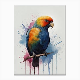 Colorful Parrot Canvas Print Canvas Print