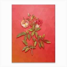 Vintage Hudson Rose Botanical Art on Fiery Red n.0596 Canvas Print