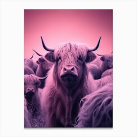 Herd Of Highland Cow Cattle Gradient 1 Canvas Print