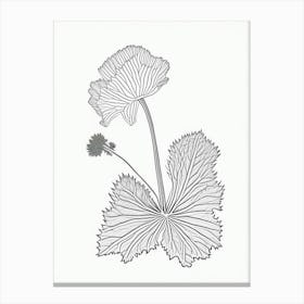 Coltsfoot Herb William Morris Inspired Line Drawing 1 Canvas Print