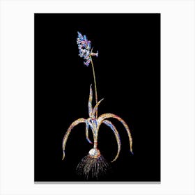 Stained Glass Common Bluebell Mosaic Botanical Illustration on Black n.0230 Canvas Print