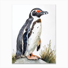 Humboldt Penguin Signy Island Watercolour Painting 4 Canvas Print