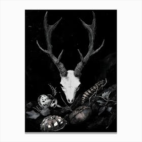 Dark Gothic Deer Skull Canvas Print