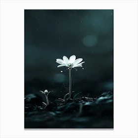 White Flower In The Rain Canvas Print