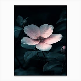 Dark Pink Flower Canvas Print