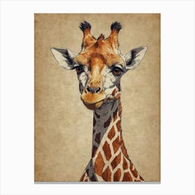 Giraffe 43 Canvas Print