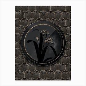 Shadowy Vintage Iris Fimbriata Botanical in Black and Gold n.0068 Canvas Print