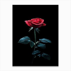 Red Rose On Black Background 75 Canvas Print