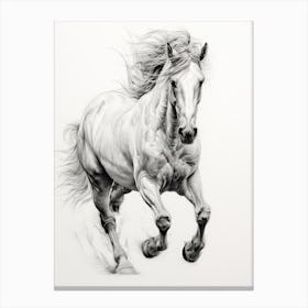 A Horse Painting In The Style Of Hatching And Cross Hatching 2 Canvas Print