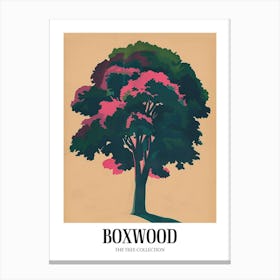 Boxwood Tree Colourful Illustration 3 Poster Canvas Print