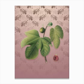 Vintage Briansole Figs Botanical on Dusty Pink Pattern n.0561 Canvas Print