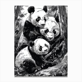 Giant Panda Playing Together In A Forest Ink Illustration 2 Canvas Print