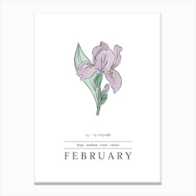 February Iris Birth Flower 2 Canvas Print