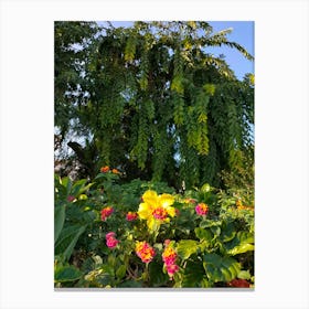 Hibiscus Garden Summer and Spring blossom floral park Canvas Print