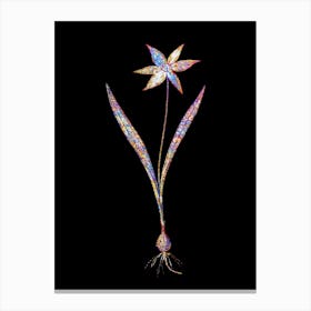 Stained Glass Tulipa Celsiana Mosaic Botanical Illustration on Black n.0284 Canvas Print