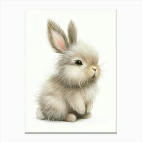 Jersey Wooly Rabbit Kids Illustration 1 Canvas Print