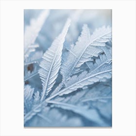 Frost On A Leaf Canvas Print