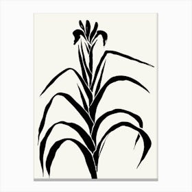 Irises Black and White Botanical Canvas Print