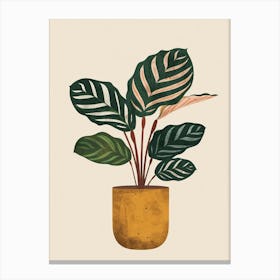 Calathea Plant Minimalist Illustration 2 Canvas Print