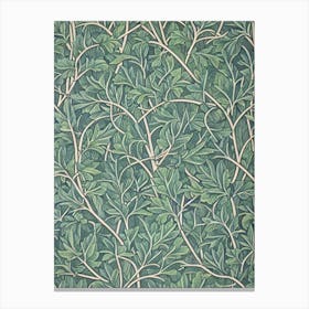 Quercus Rubra tree Vintage Botanical Canvas Print