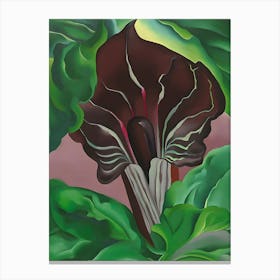 Georgia O'Keeffe - Jack-in-Pulpit - No. 2 Canvas Print