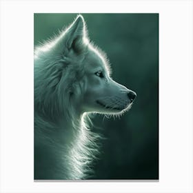 White Wolf Canvas Print